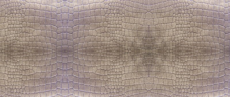 Текстура кожи