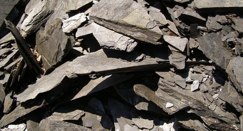 Битуминозные и горючие сланцы