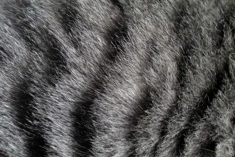 Мех кошки