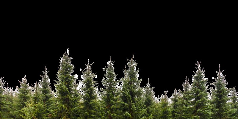 Лес на белом фоне