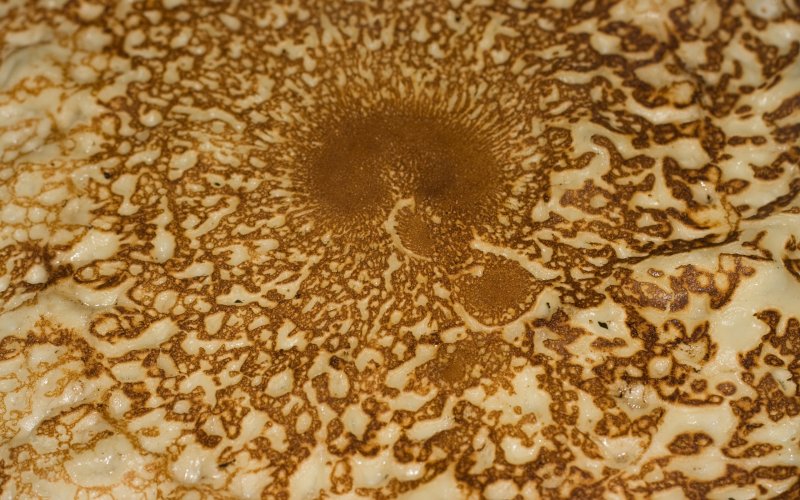 Блинчик текстура