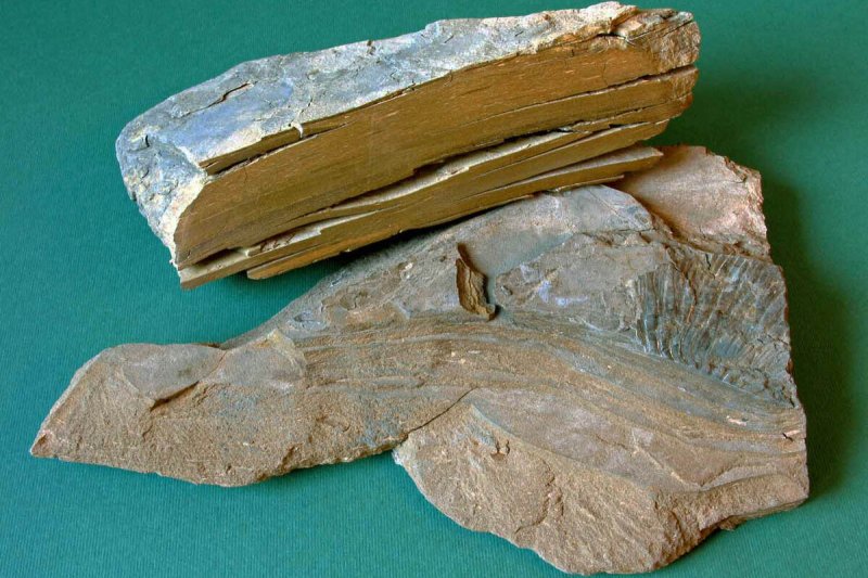 Горючие сланцы месторождения