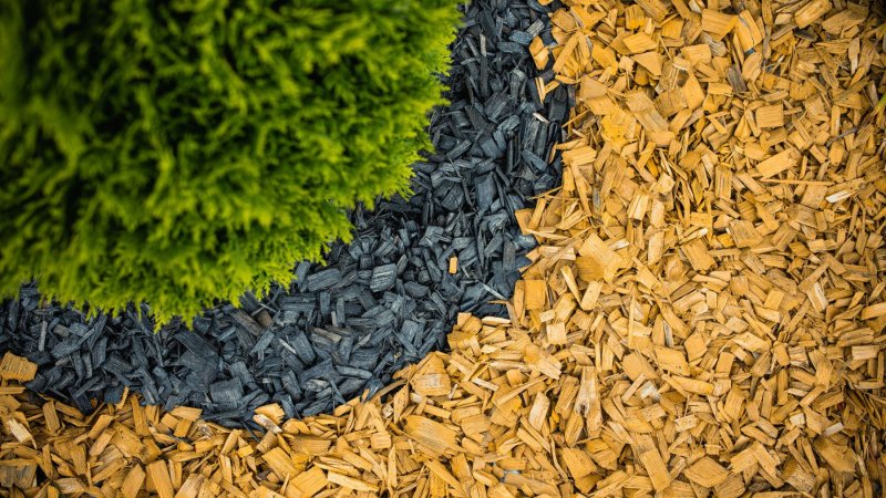 Щепа мульча