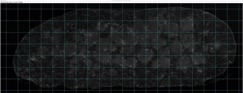 Трехмерная координатная сетка