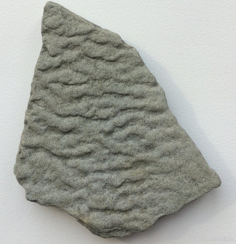 Знаки ряби Геология