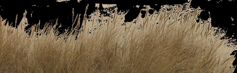 Осенняя трава для фотошопа