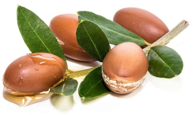 Аргания Спиноза