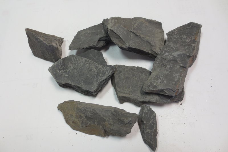 Горючие ископаемые горючие сланцы