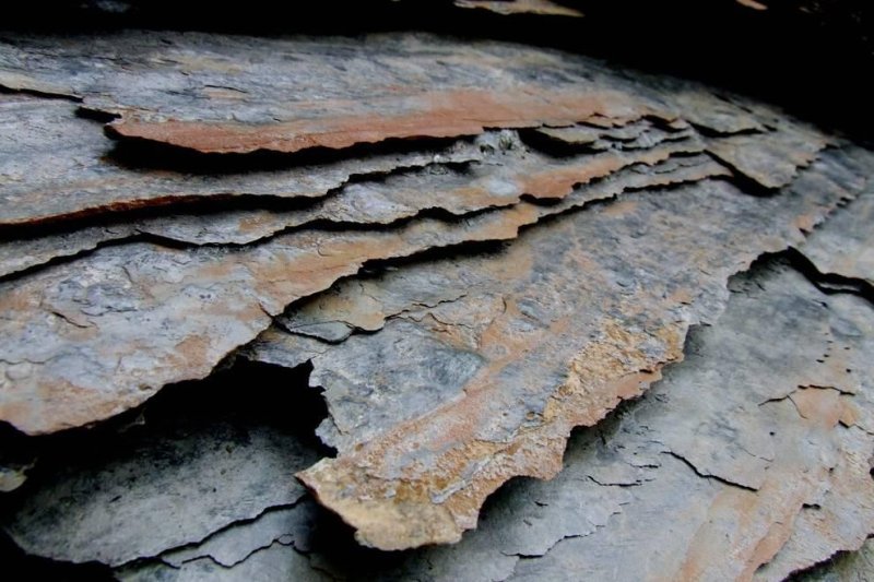 Горючие сланцы месторождения