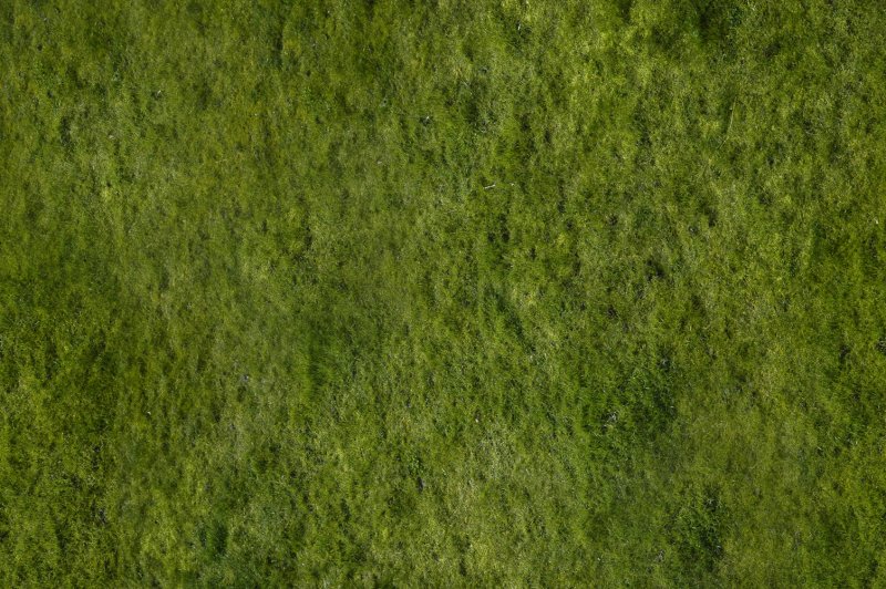 Текстура трава архикад