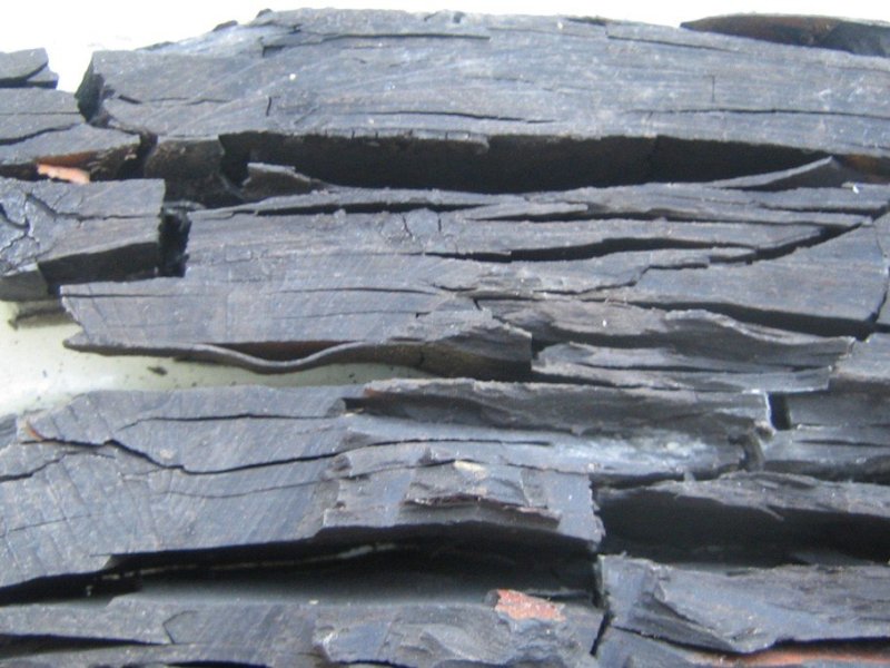 Битуминозные и горючие сланцы