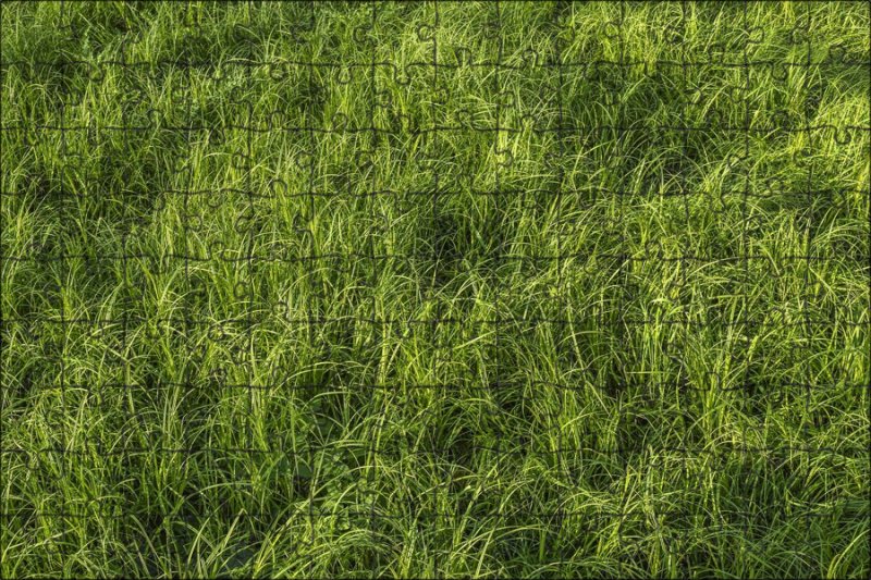 Бесшовная текстура травы архикад