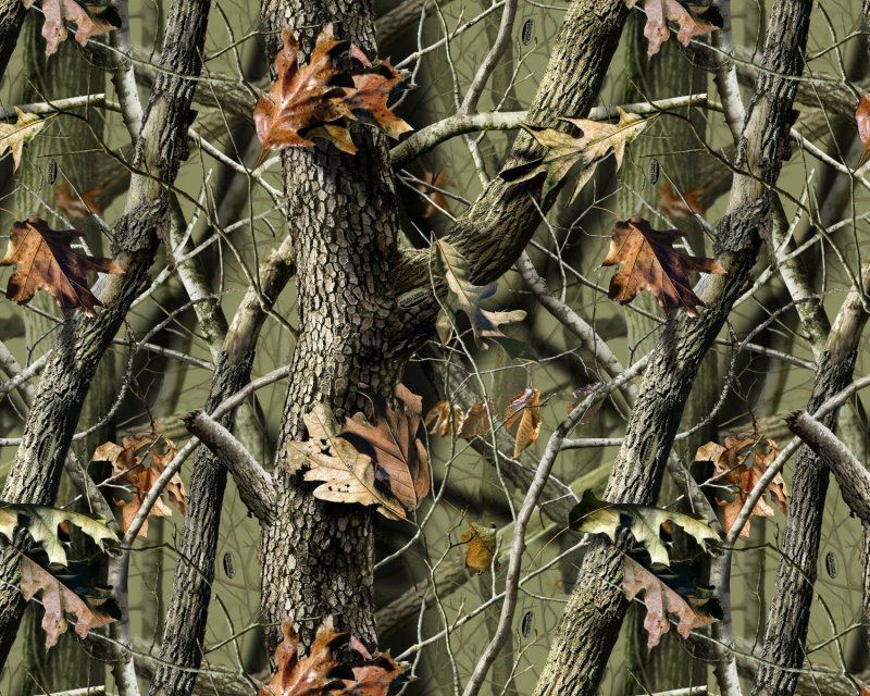 Realtree Camo Camouflage