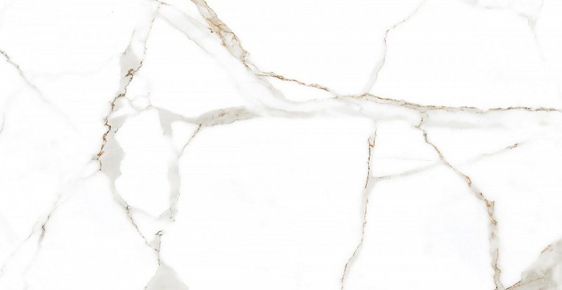Calacatta Gold 60x120