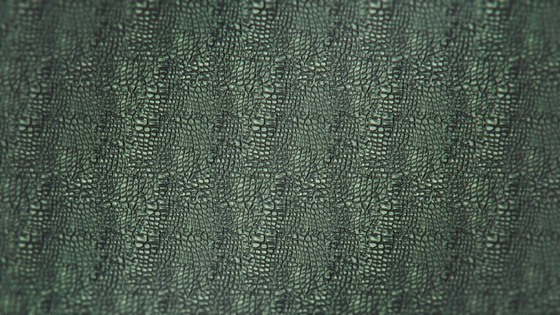 Кожа рептилии текстура