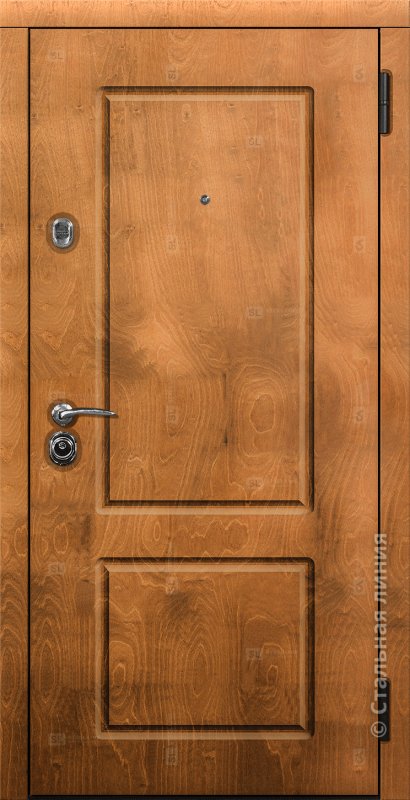 Металлическая дверь под дерево