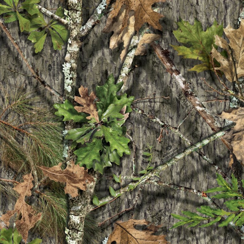 Камуфляж Mossy Oak