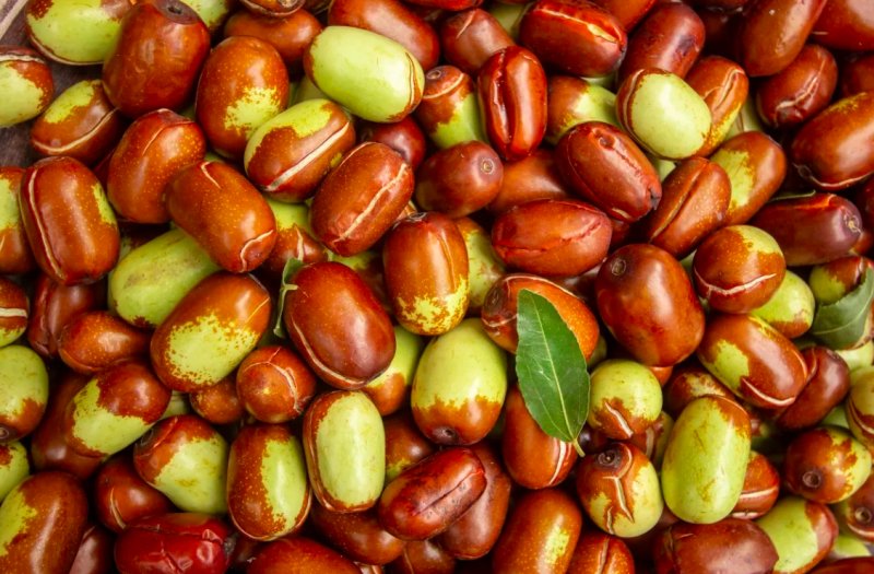 Жожоба плоды