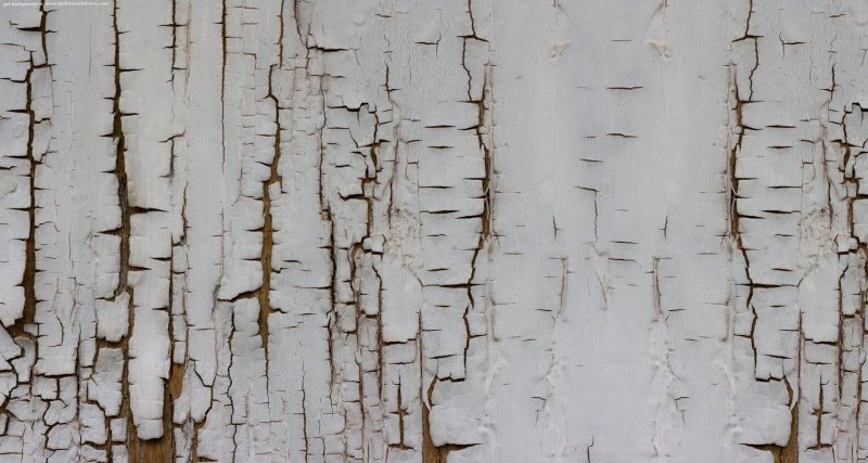 Текстура дерева с трещинами