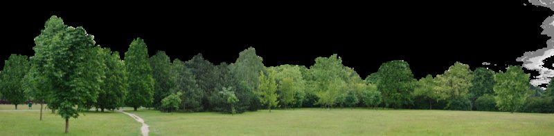 Деревья на заднем плане