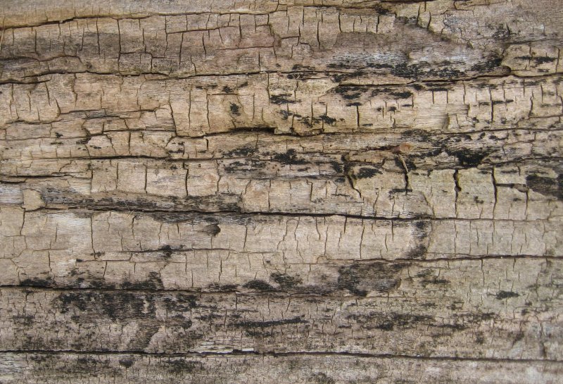 Старая древесина