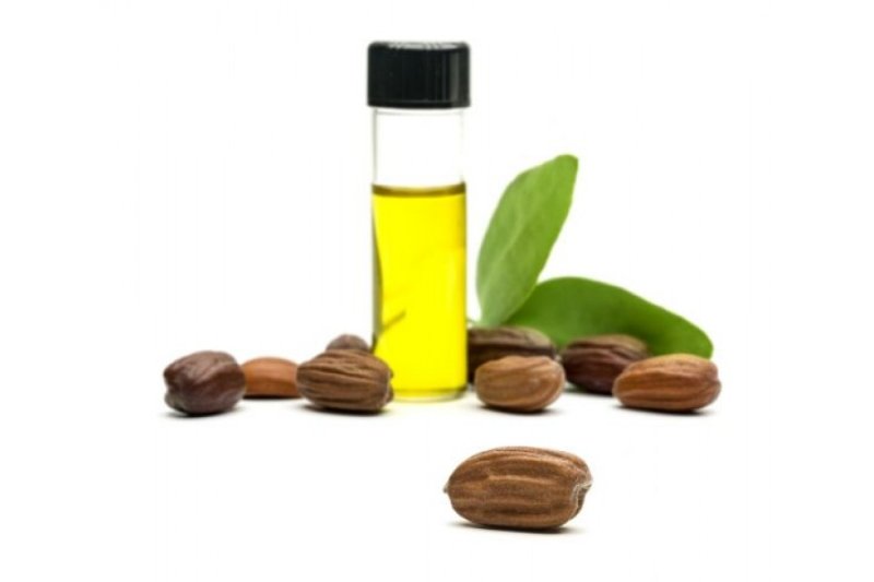 Семена жожоба