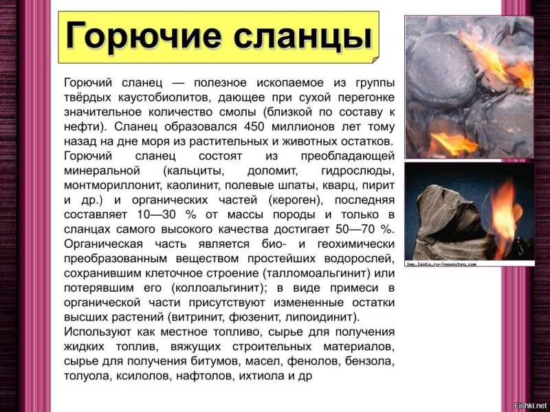 Горючие сланцы полезные ископаемые