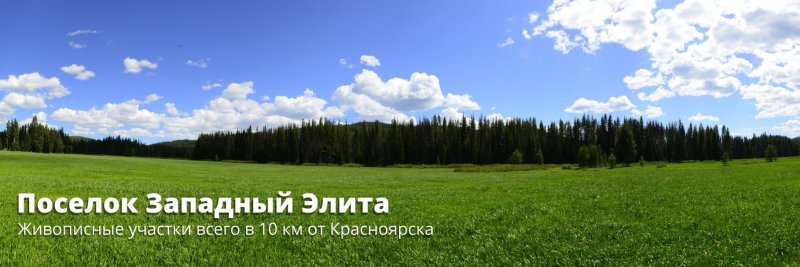 Панорама леса