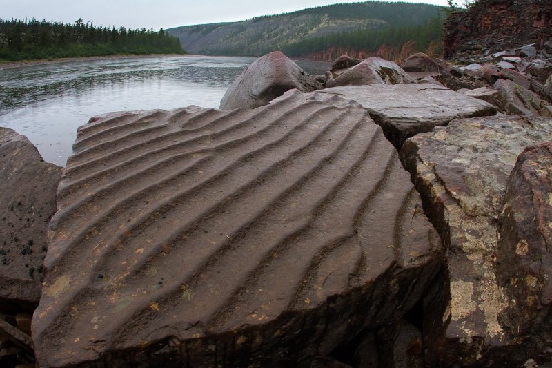 Строматолиты Анабарское плато