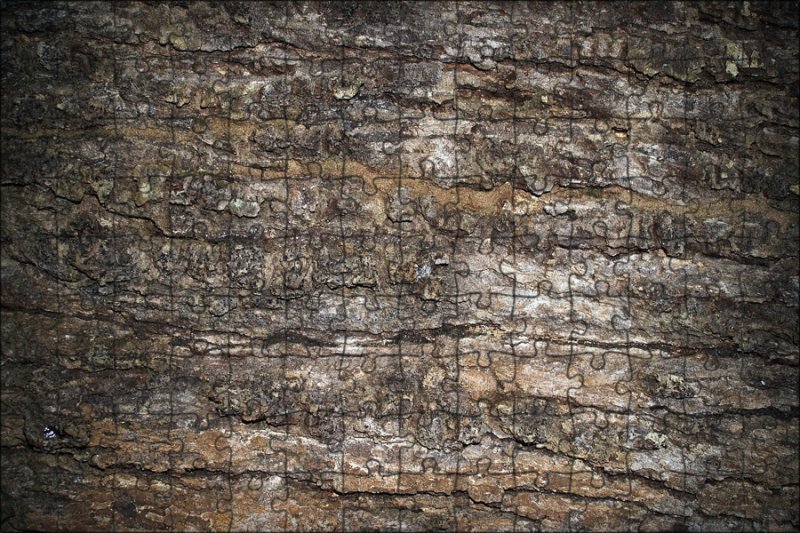 Текстура старого дерева