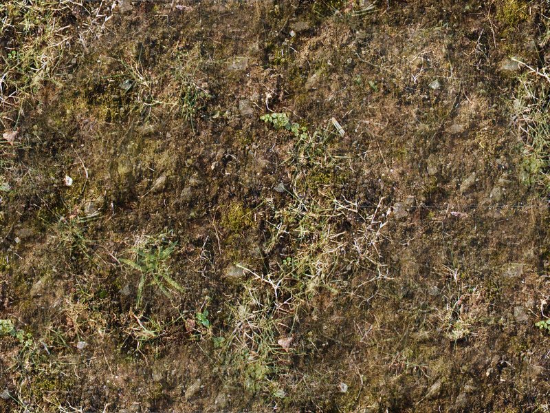 Текстура земли бесшовная 4к