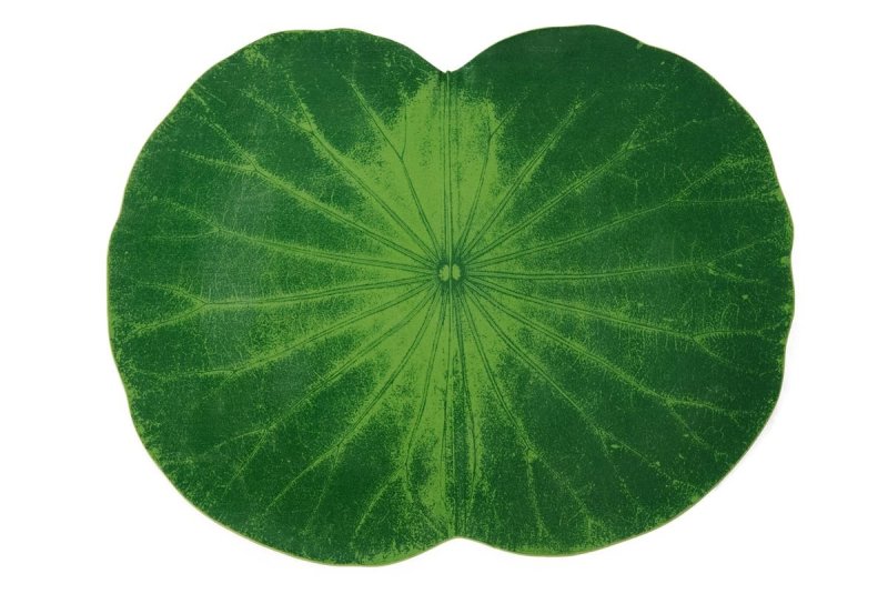 Круглые листья