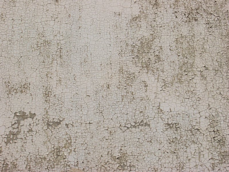 Штукатурка текстура