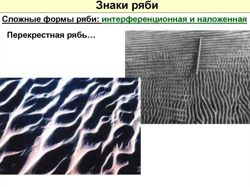 Знаки ряби на поверхности осадочных пород