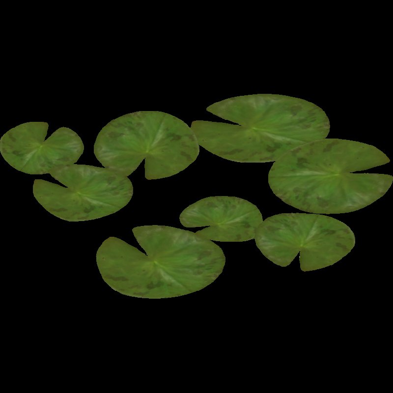 Лист кувшинки