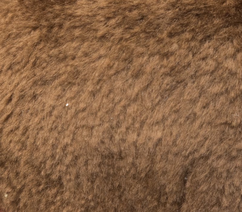 Коричневая шерсть