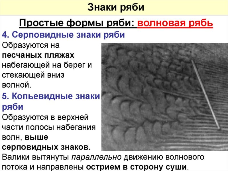 Асимметричные знаки ряби