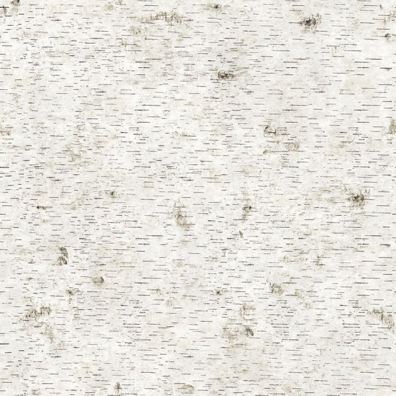 Кора березы текстура