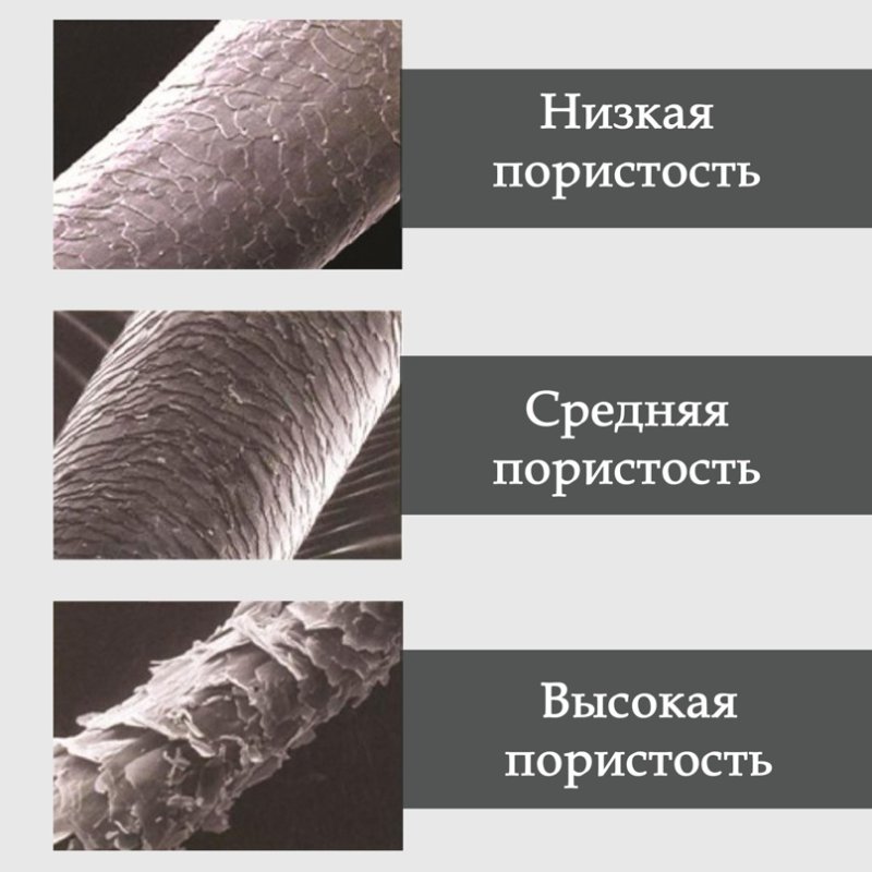 Пористая структура волос