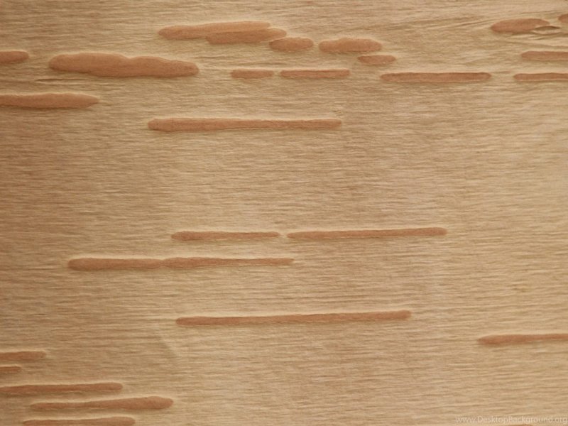 Береста фон