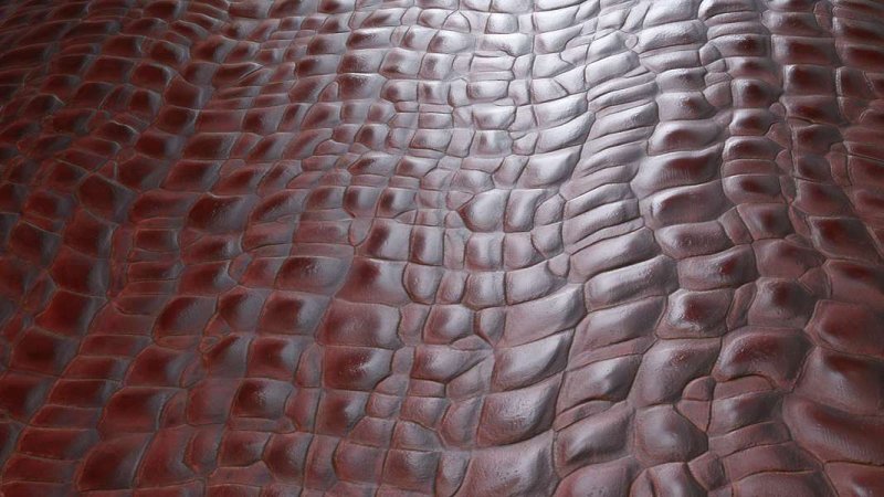 Текстура кожи