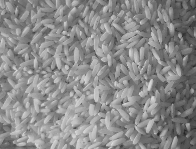 Рис Байдала