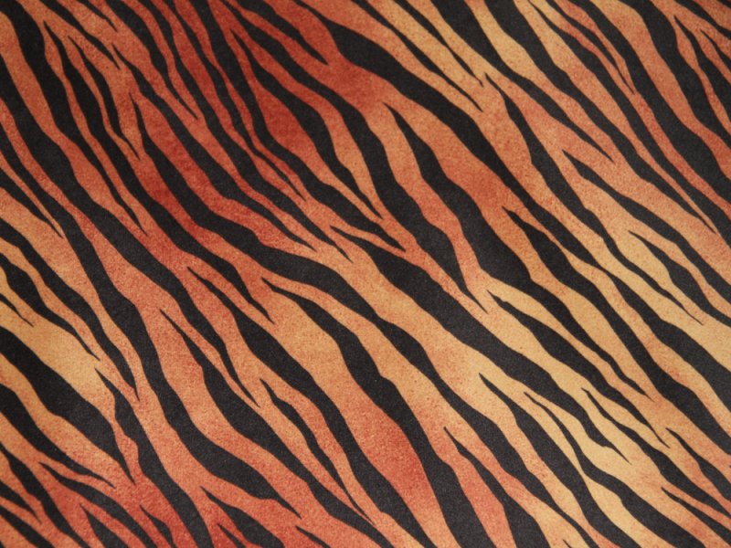 Тигровая текстура