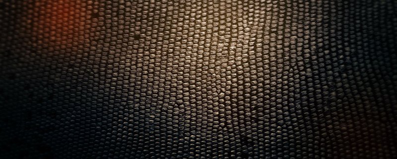 Фактура кожи змеи