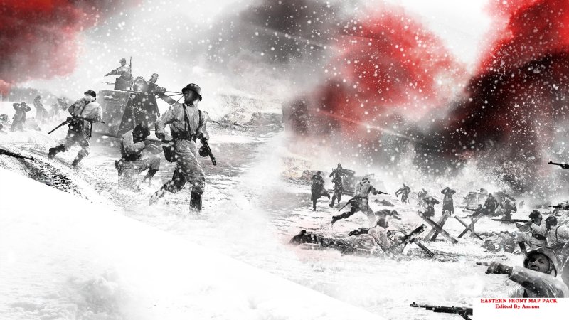 Company of Heroes 2 арт