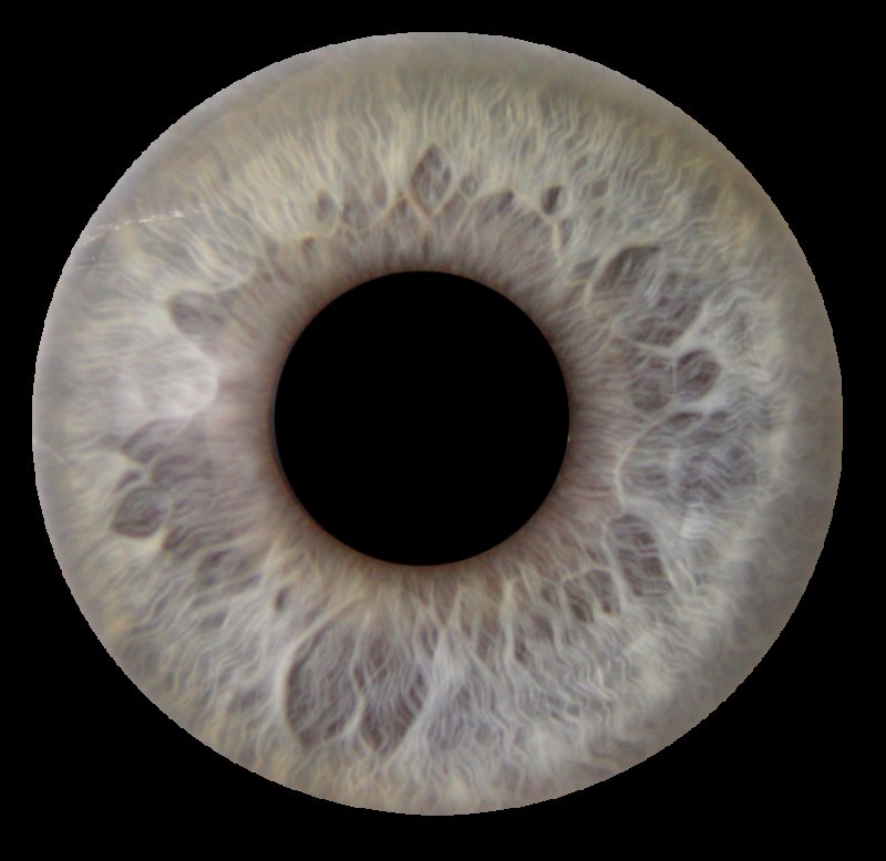 Радужка глаза