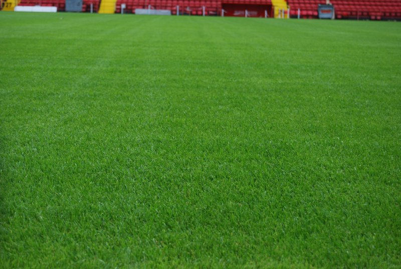 Футбольное поле