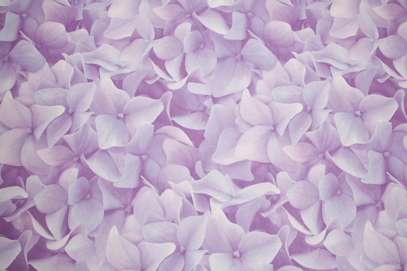 Однотонные сиреневые обои для стен