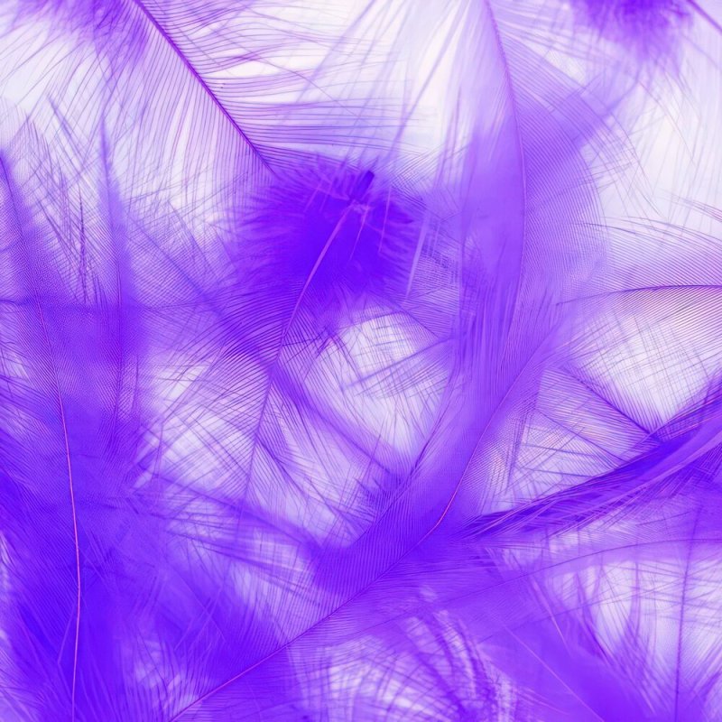 Фиолетовый фон