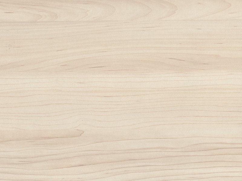 H3860 st9 клен сахарный шампань